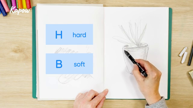 Teacher skills video: Drawing materials