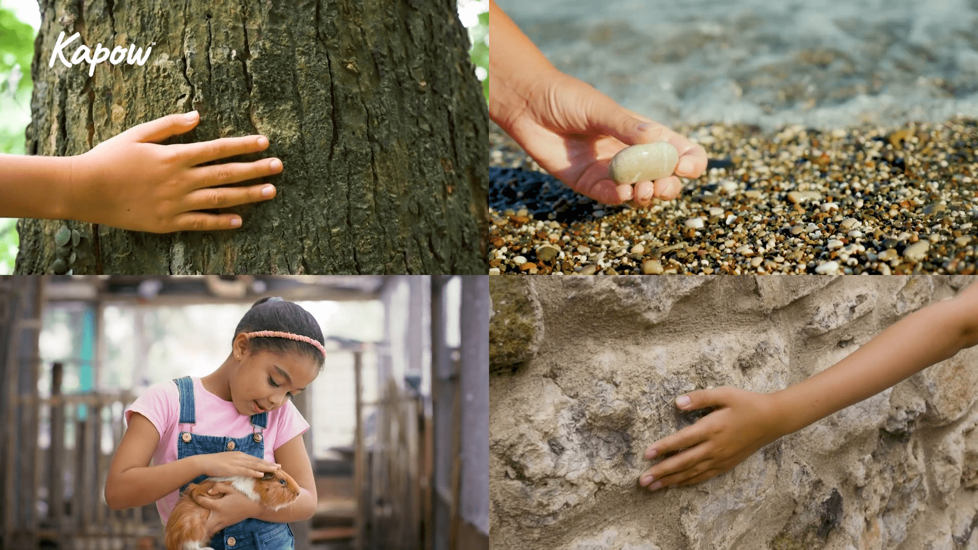 Learner video: What is texture?