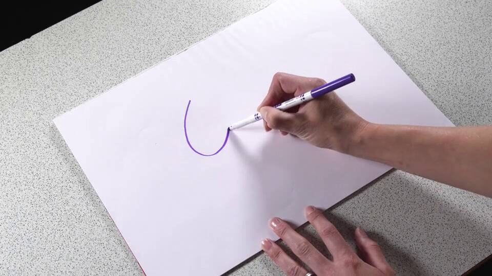 Teacher video: Junk model animals