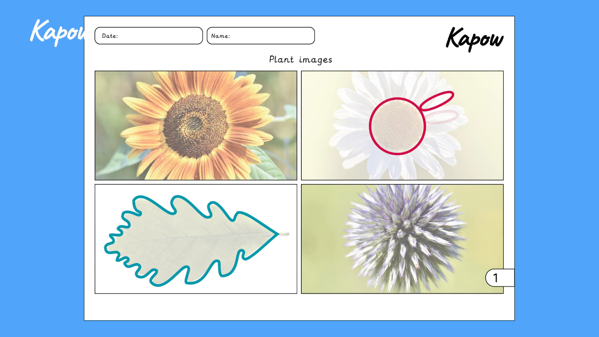 Teacher video: Sketching and drawing