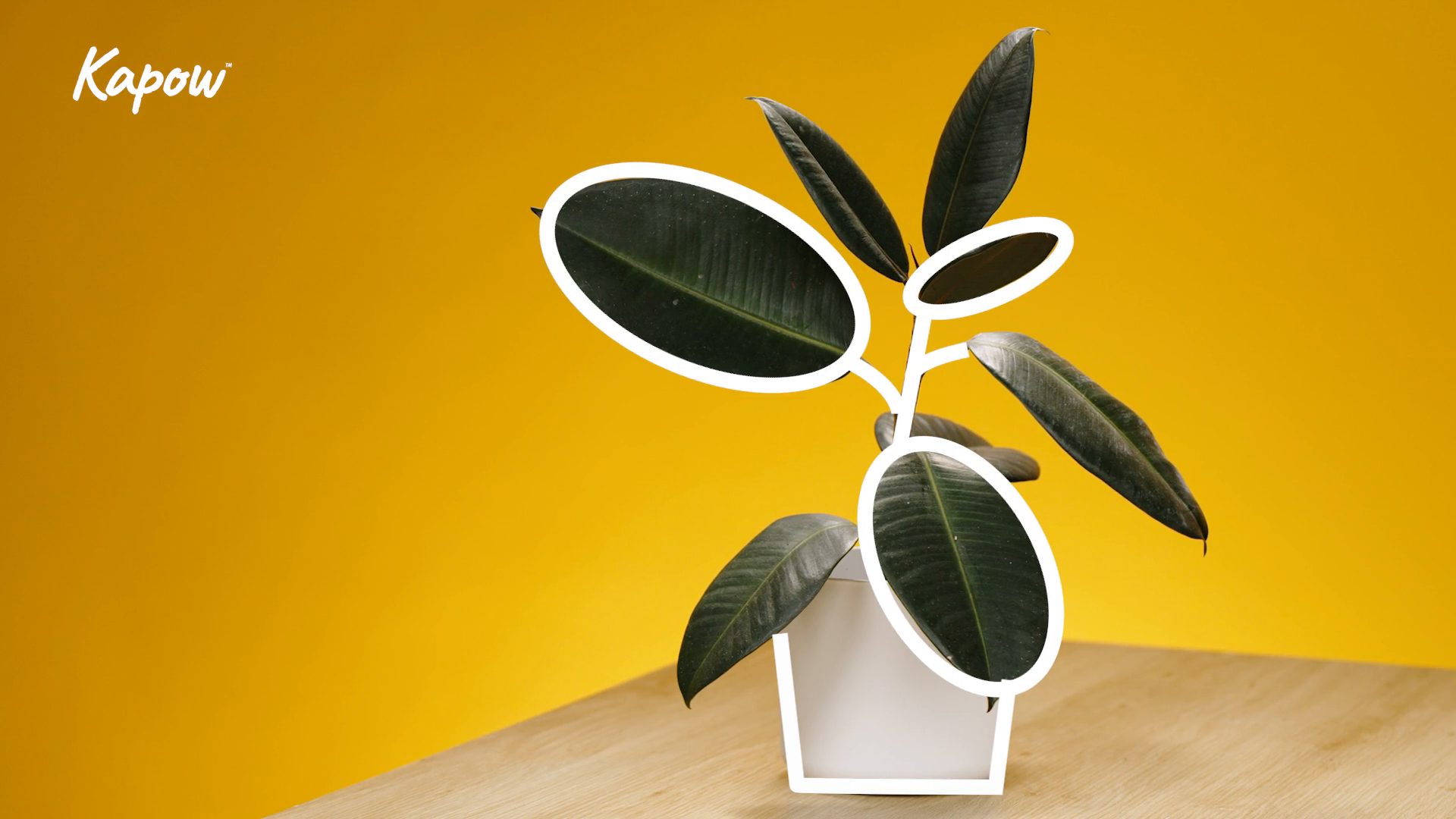 Learner video: See like an artist