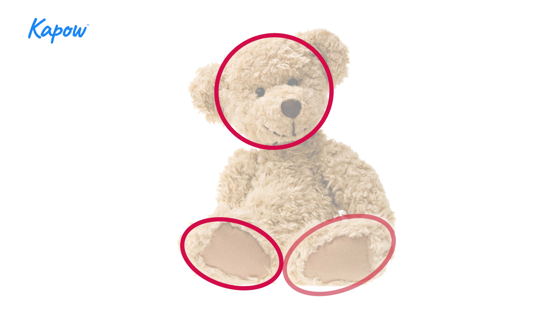 Teacher video: Observational skills