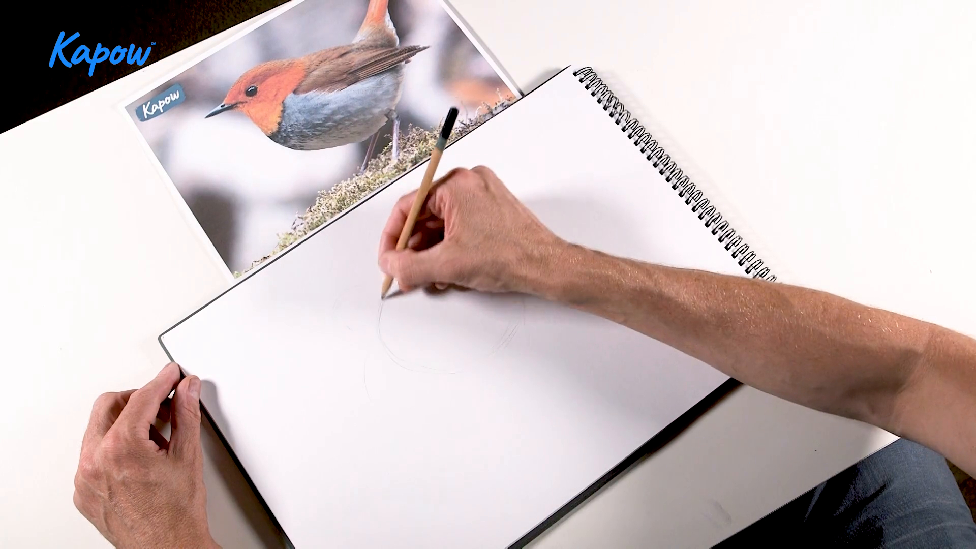 Teacher video: Prehistoric art