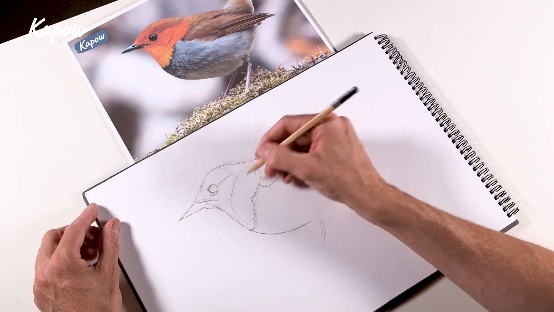 Learner video: Exploring prehistoric art