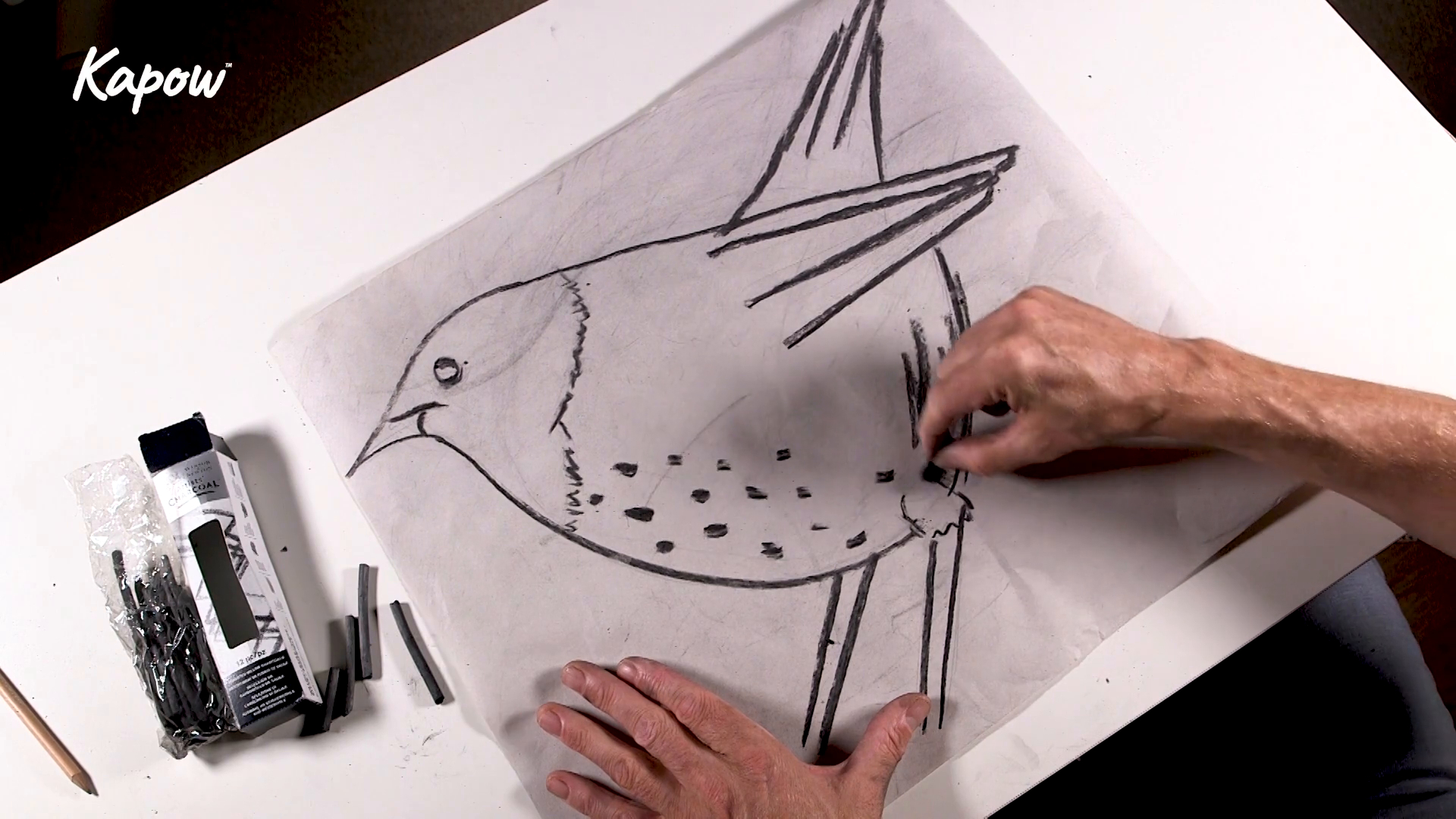 Learner video: Charcoal animals