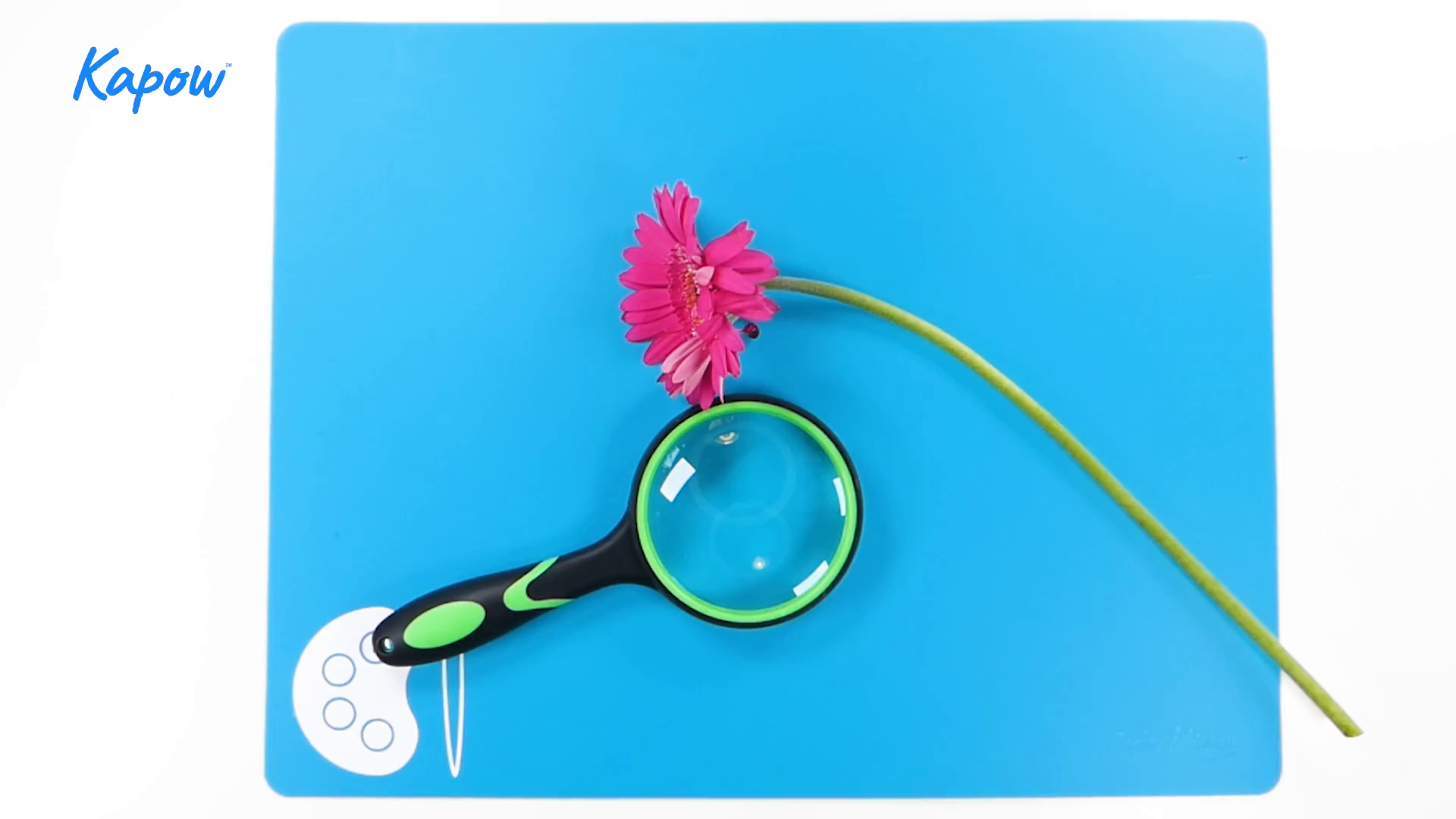 Teacher video: Botanical drawing