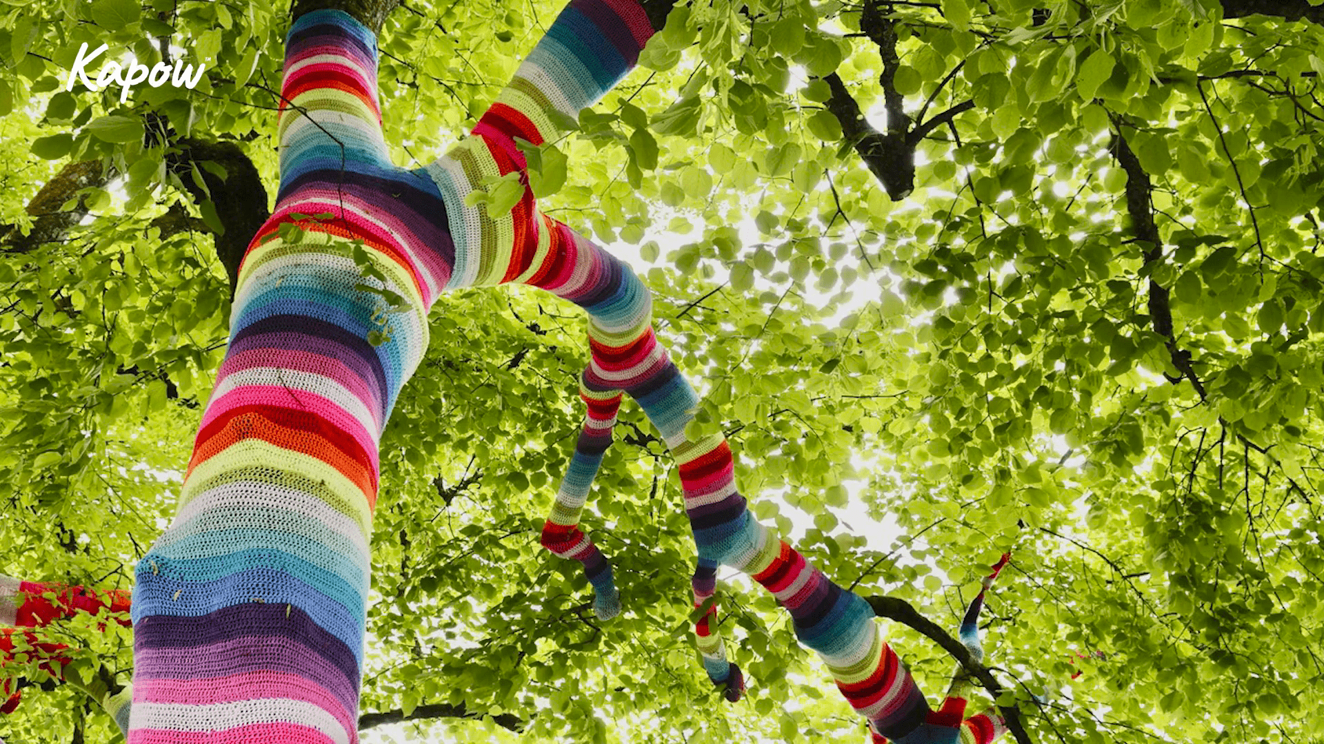 Teacher video: Viewer experience