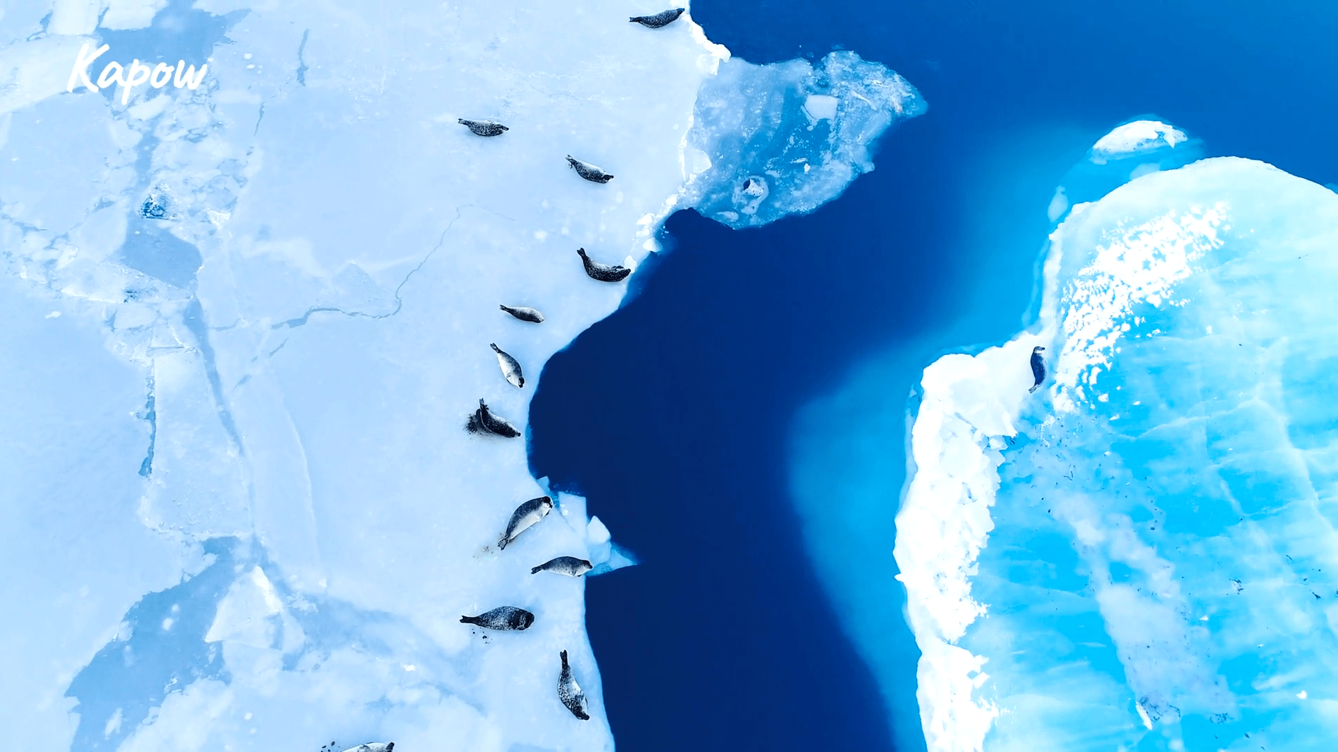 Learner video: Earth’s big challenges