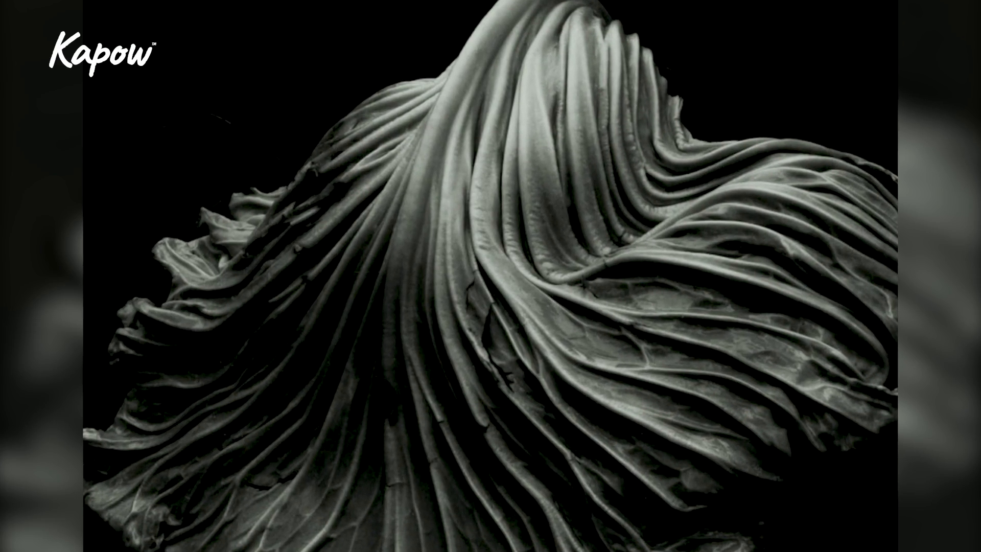 Teacher video: Macro photography