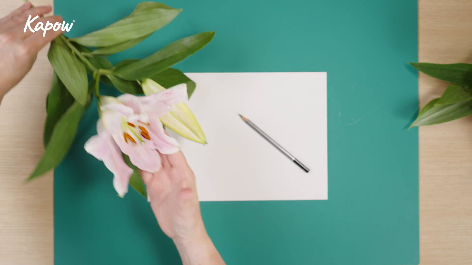 Learner video: Observational drawing